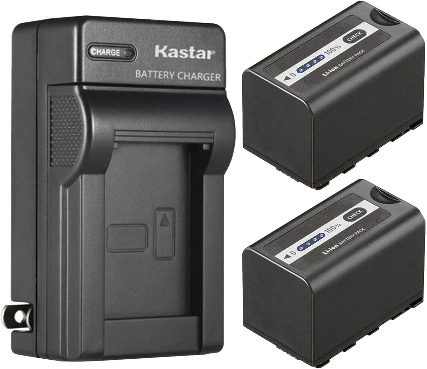 Kastar 2-Pack Battery and AC Wall Charger for Panasonic Cameras
