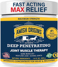 Amish Origins Pain Relief Ointment 14 oz - Deep Penetrating Relief