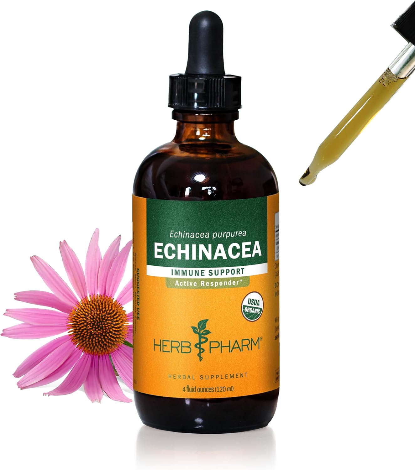 Echinacea Root Liquid Extract for Immune System Support 4 Ounce