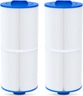 Future Way Hot Tub Filter Replacement for Jacuzzi J-300 J400