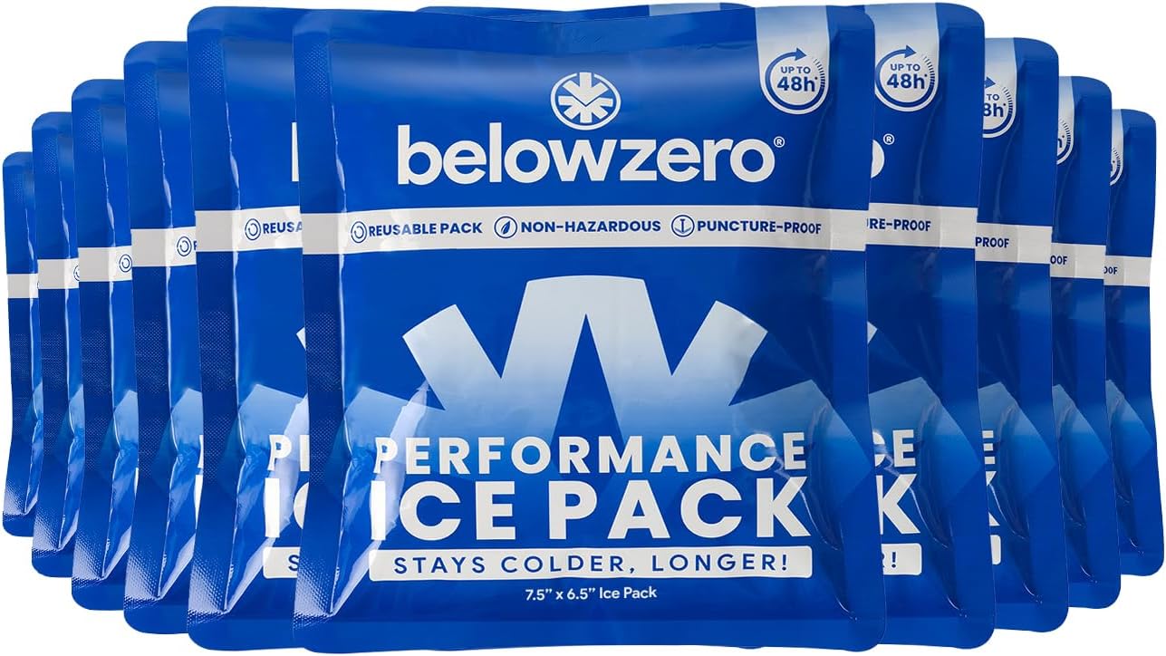 Below Zero Prefilled Reusable Ice Packs for Long Lasting Coolers