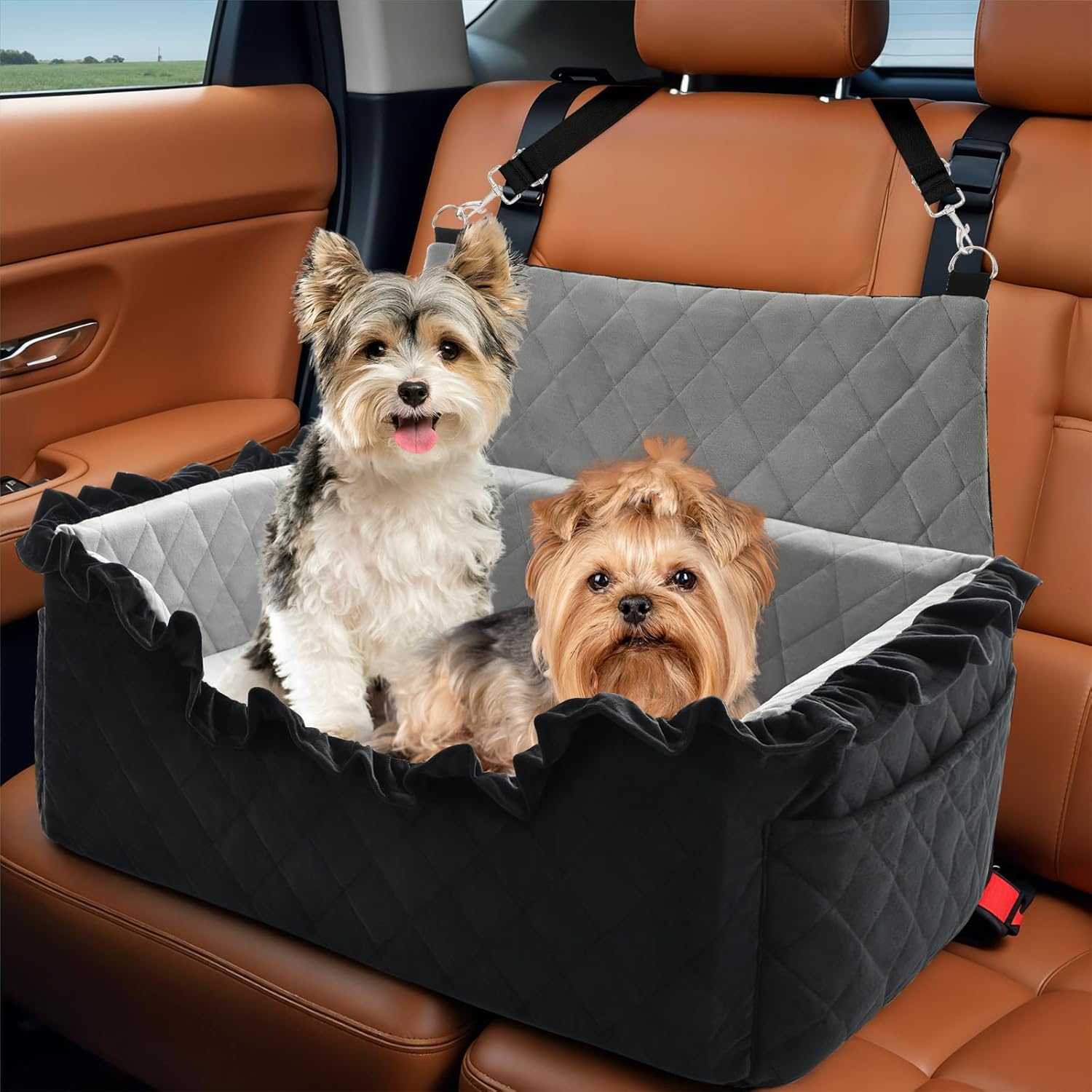 Dog Car Seat for Large Medium Dogs by bilypaws 55 lbs