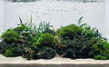 LANDEN Black Lava Stones for Aquascaping and Terrariums