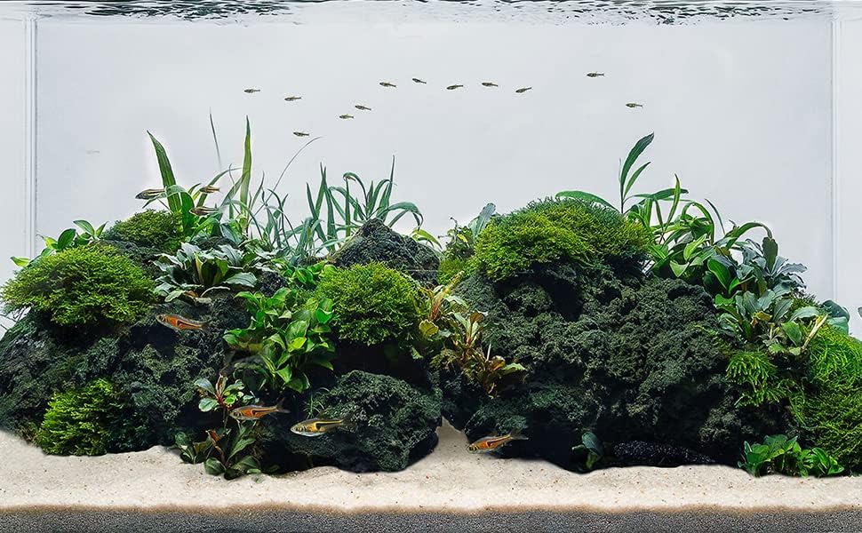 LANDEN Black Lava Stones for Aquascaping and Terrariums