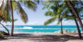 Seaside Beach Backdrop 15x8ft Tropical Palm Trees - Photo Studio