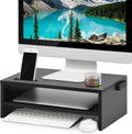 Monitor Stand Riser 16.5 in 2-Tier Desk Shelf - Space-Saving Ergonomic