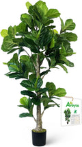 Aveyas 6ft Fiddle Leaf Fig Tree - Realistic Faux Ficus for Home Decor