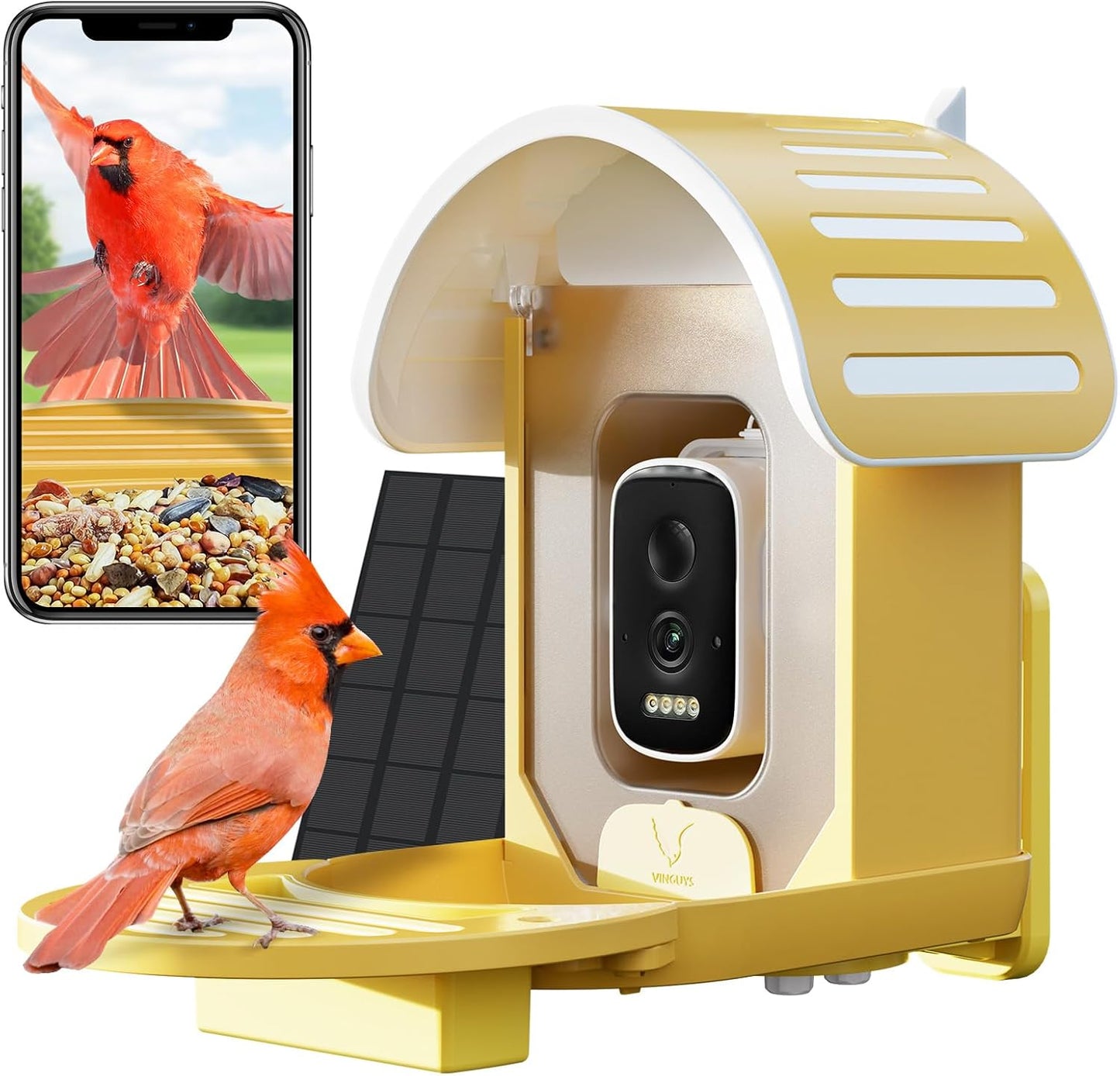 AI Bird Feeder: Identify 11K+ Species, Capture UHD Video