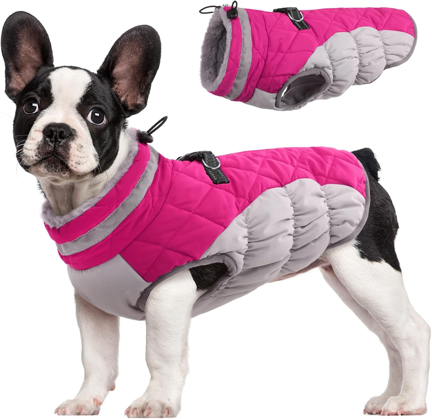 FUAMEY Dog Coat for Small Dogs - Waterproof Winter Jacket