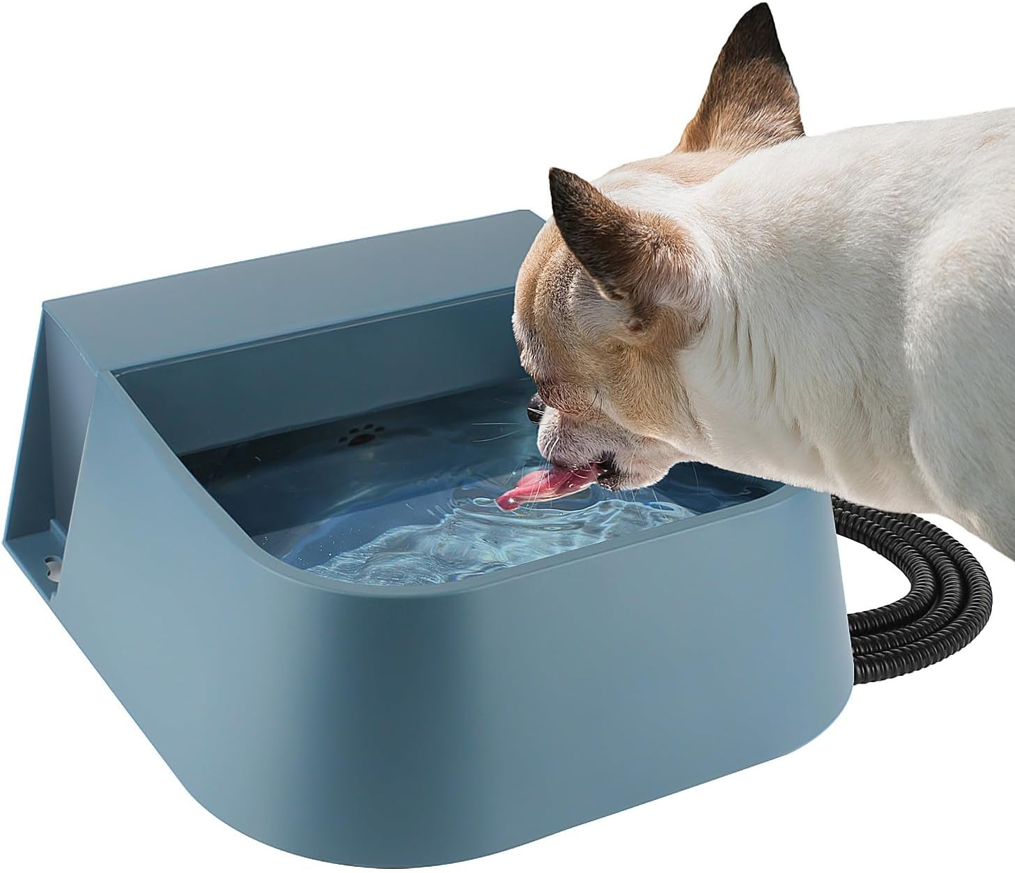 Heated Automatic Pet Water Bowl - Freeze-Free Hydration