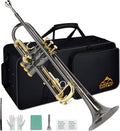 EASTROCK Bb Trumpet Standard Set - Hand Engraved, Beginner Ready