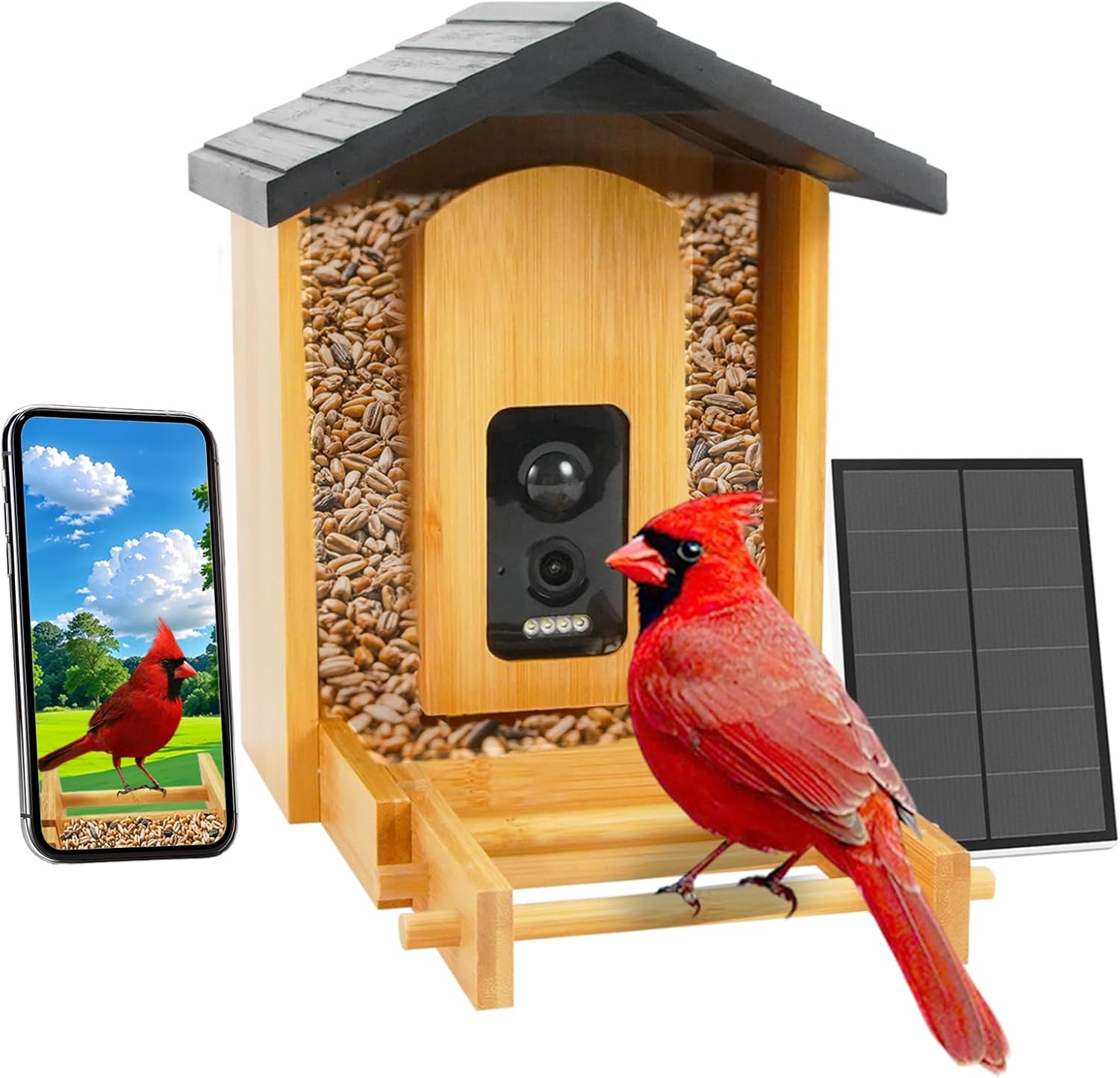 Smart Bird Feeder with Camera for Nature Lovers and Moms
