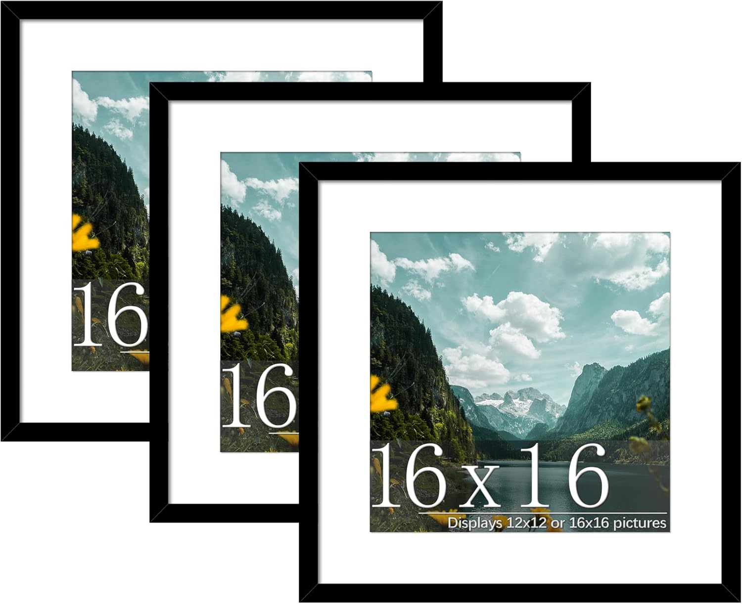 Flexible 16x16 Picture Frame 3 Pack for Stylish Displays