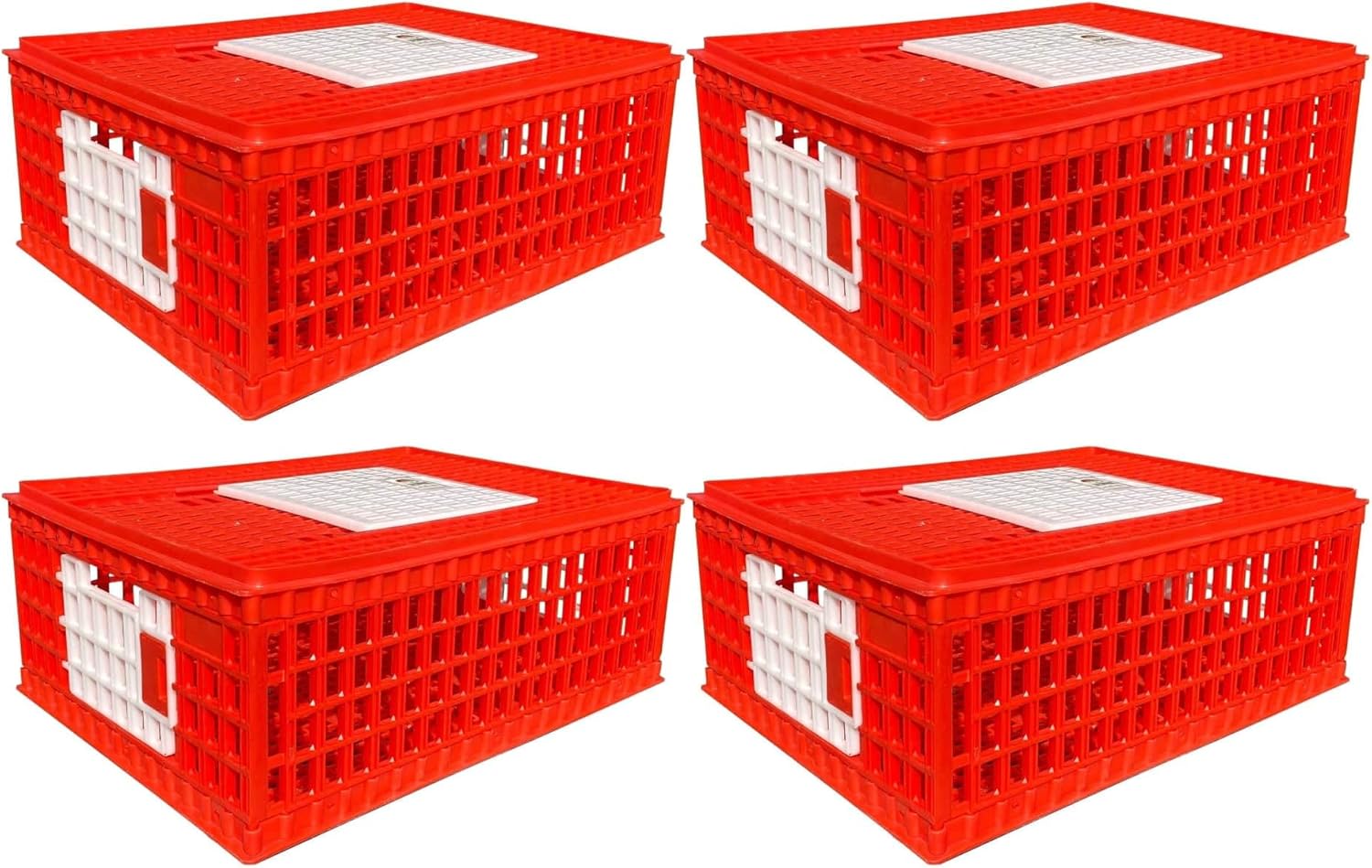 RentACoop Stackable Poultry Carrier Crate for Chickens