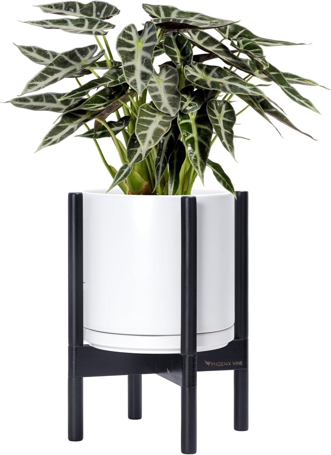 D'vine Dev Ceramic Planter with Stand - Modern 10 Inch Pot