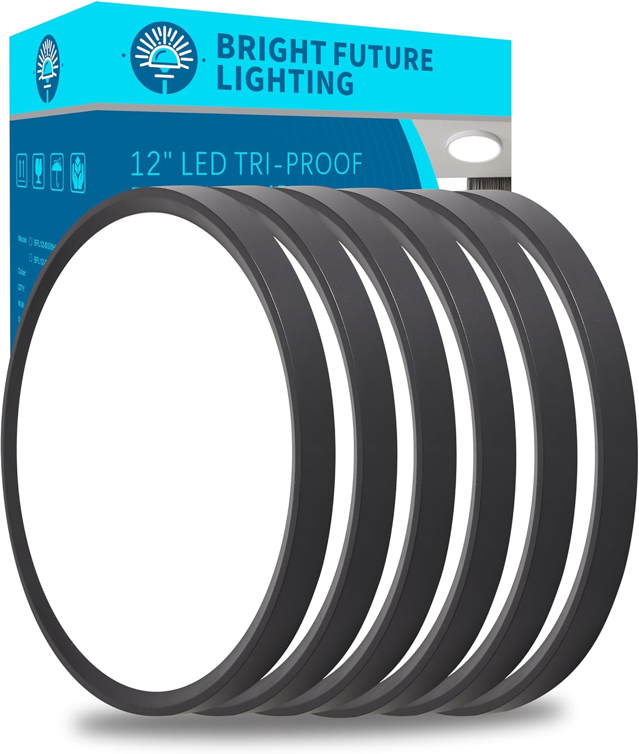 12 Inch Flush Mount Ceiling Light - Super Slim LED Fixture