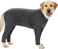 Dog Recovery Suit for Dogs After Surgery Grey - Cone Alternative