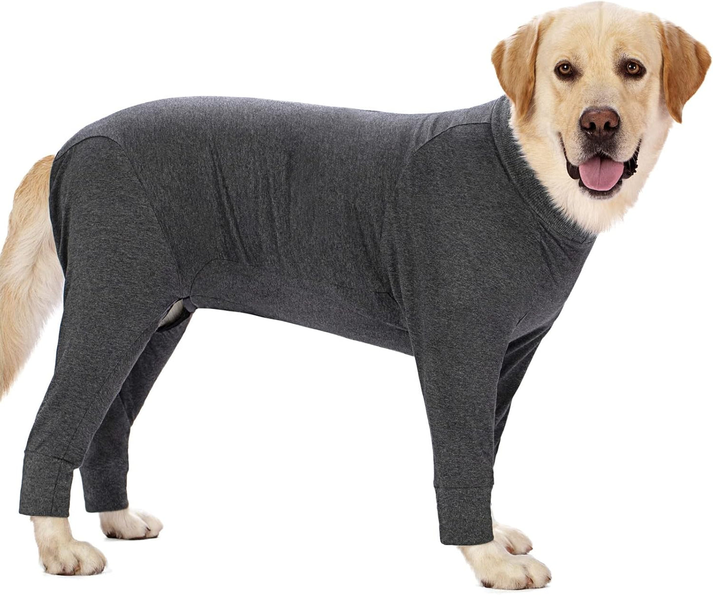 Dog Recovery Suit for Surgery Comfort and Protection for Pets