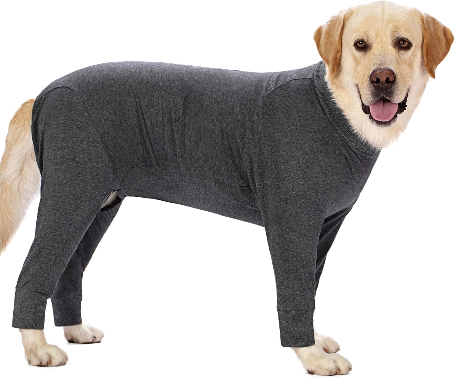 Dog Recovery Suit for Surgery Comfort and Protection for Pets