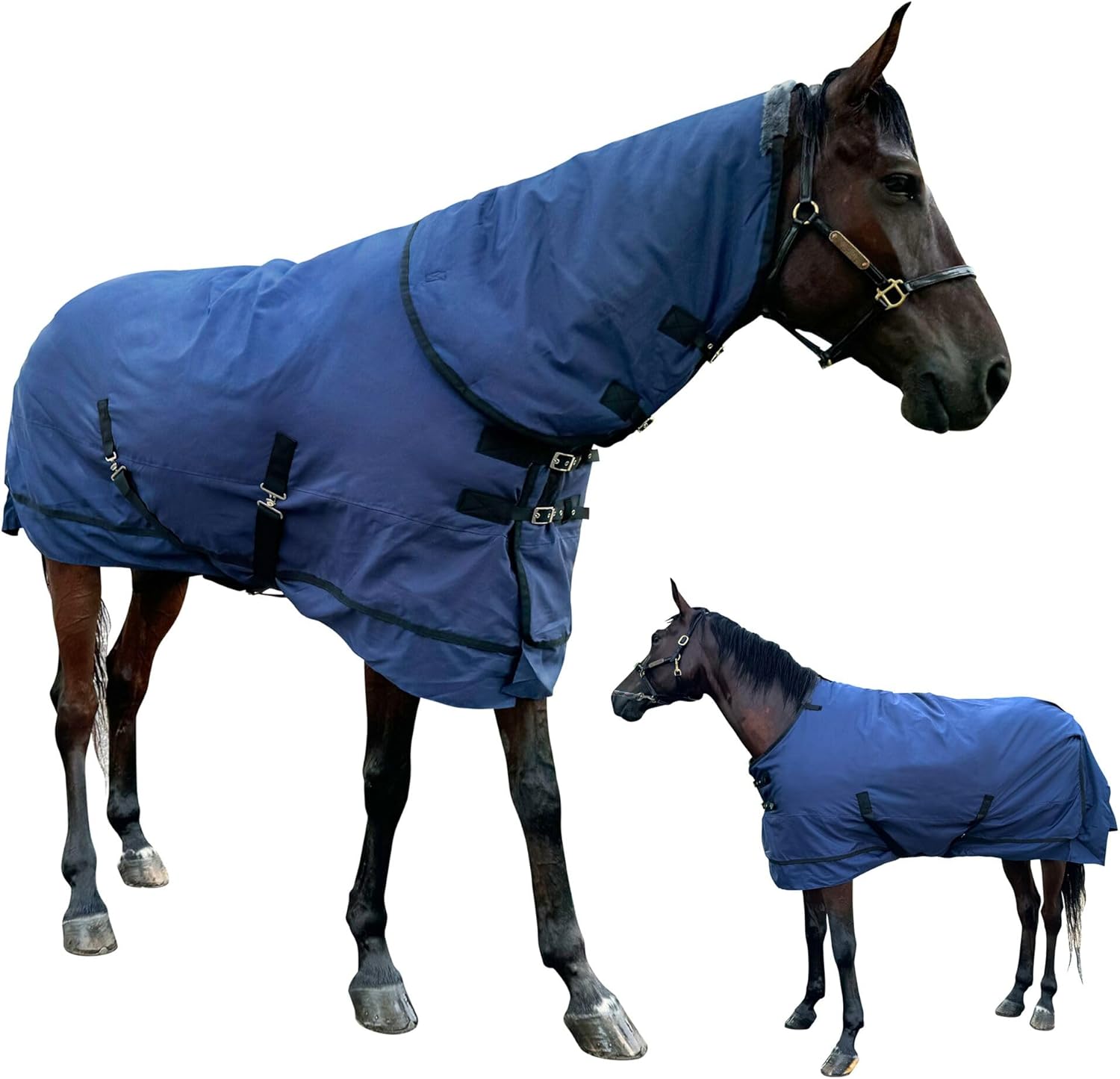 Waterproof Snow Proof Horse Blanket for Ultimate Protection