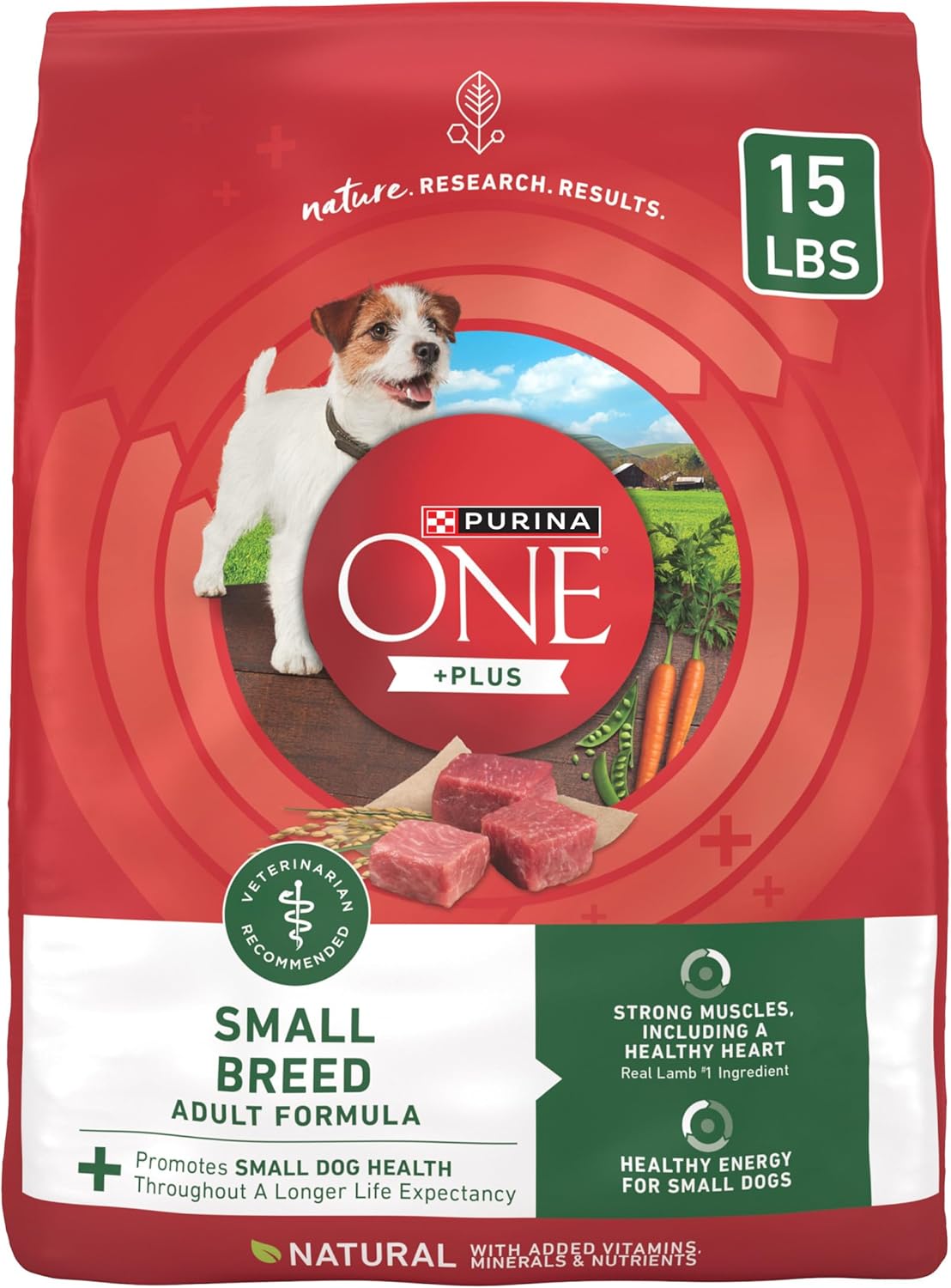 Purina ONE Plus Small Breed Lamb and Rice Dry Dog Food Review