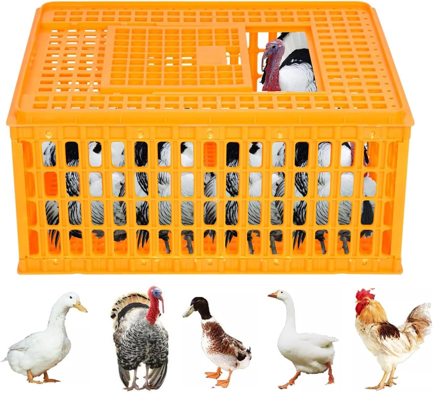 Heavy Duty Poultry Carrier Crate for Safe Chicken Transport