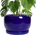 SQOWL Ceramic Plant Pot 10 in Blue - Modern Draining Planter
