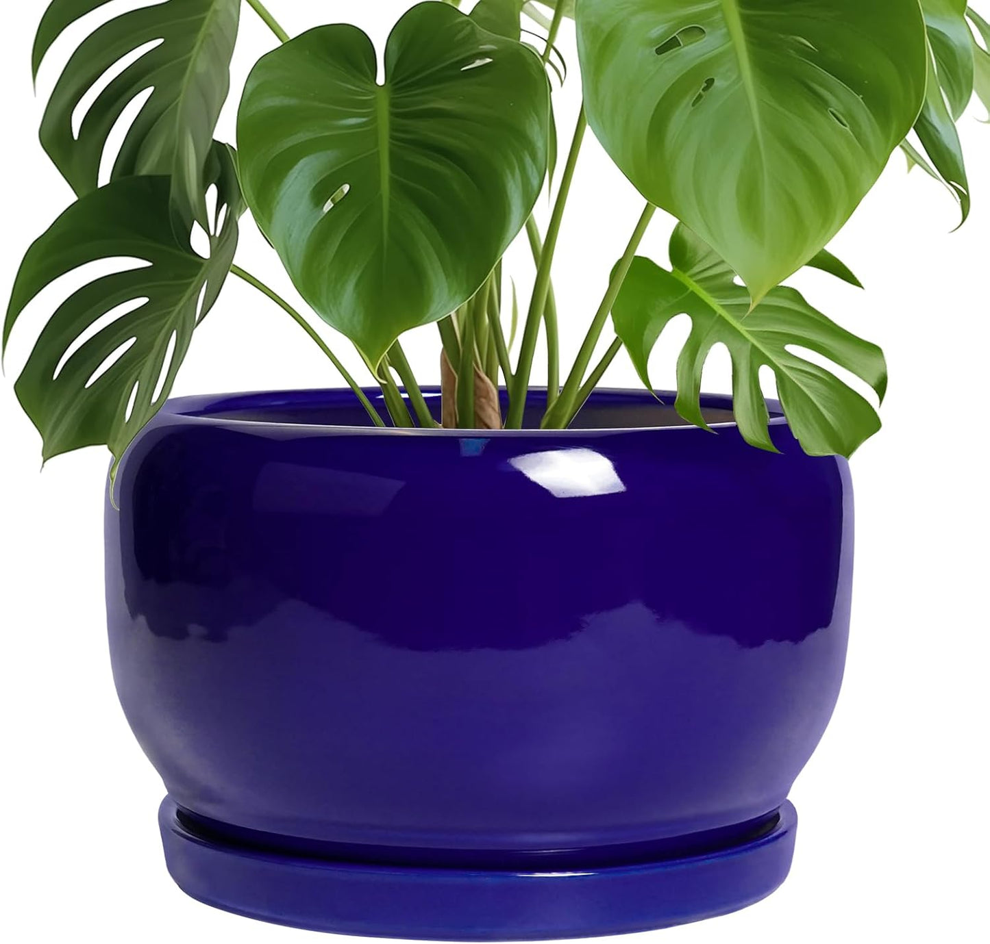 SQOWL Ceramic Plant Pot - 10 Inch Modern Decorative Planter