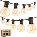 100FT LED Outdoor String Lights G40 Globe - Dimmable, Linkable