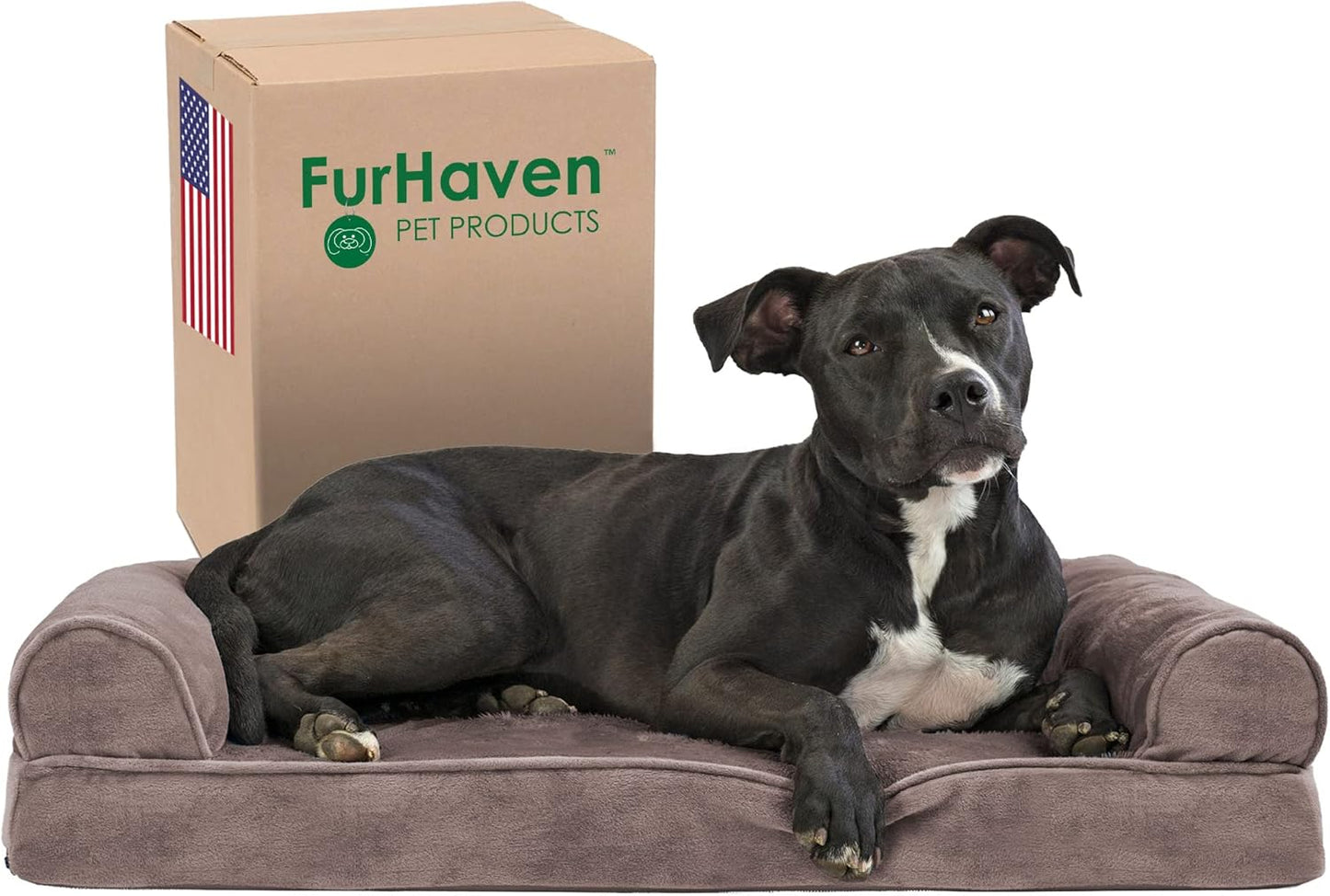 Furhaven Memory Foam Dog Bed for Small to Medium Dogs
