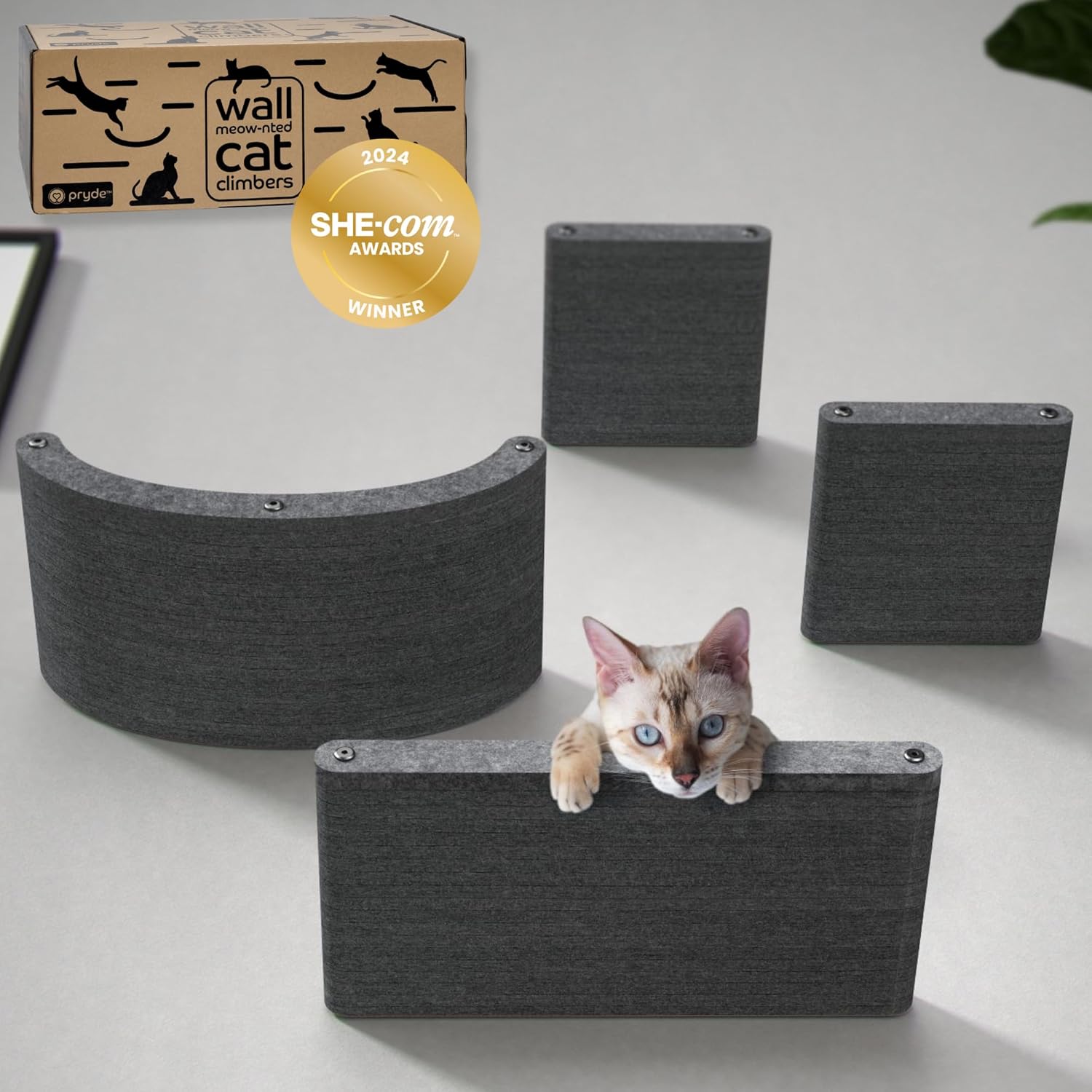 Wall Mounted Cat Shelves Set of 4 for Indoor Cats by Pryde Pets