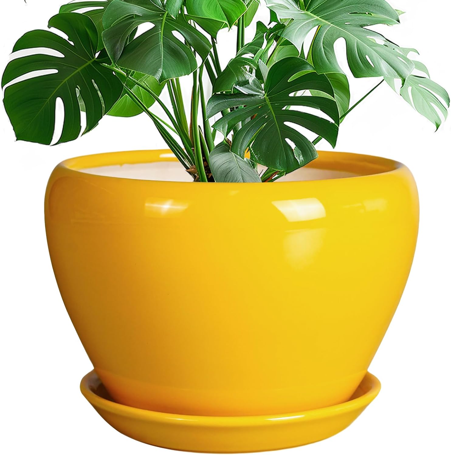 Ceramic Planter - 10 Inch Pot for Indoor Outdoor Plants
