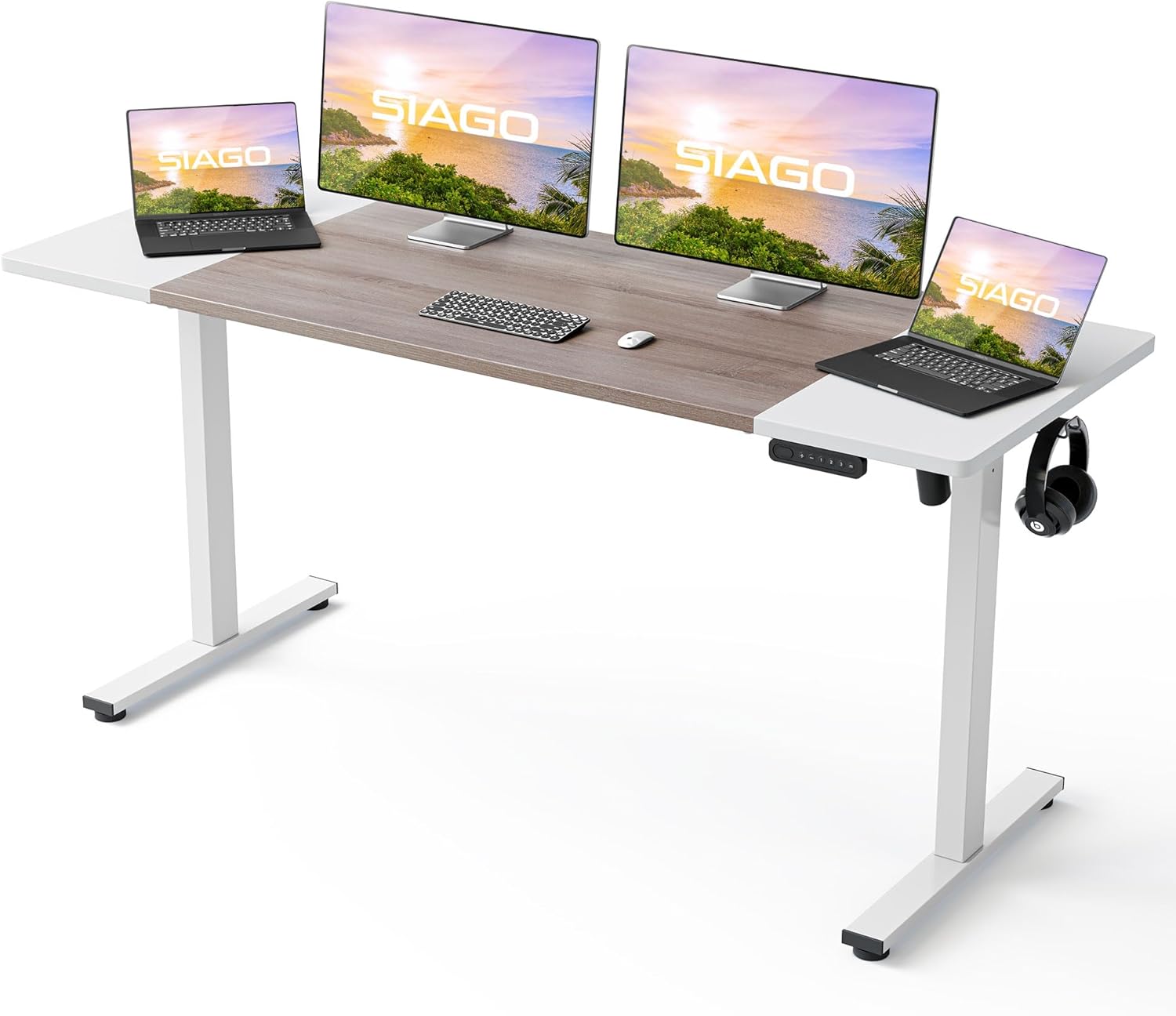 SIAGO Electric Standing Desk Adjustable - 55 x 24 Inch Sit Stand