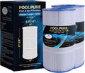POOLPURE PLF90A Pool Filter Cartridge 90 sq.ft - Reliable Replacement