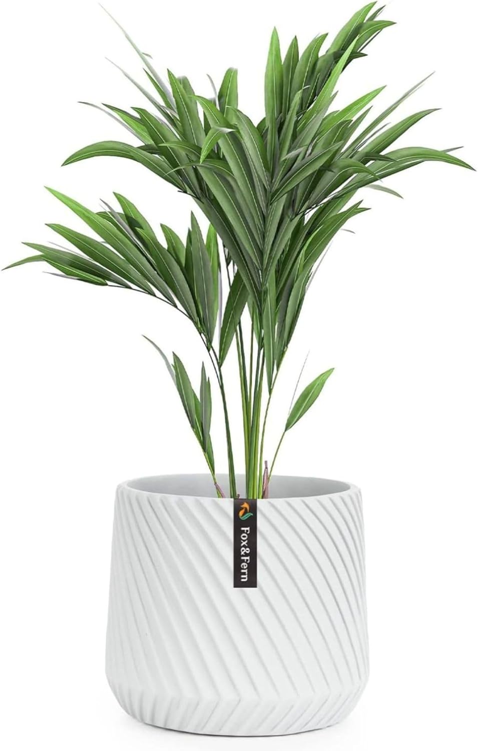 Fox & Fern 8 Inch Plant Pot with Drainage Plug for Your Plants