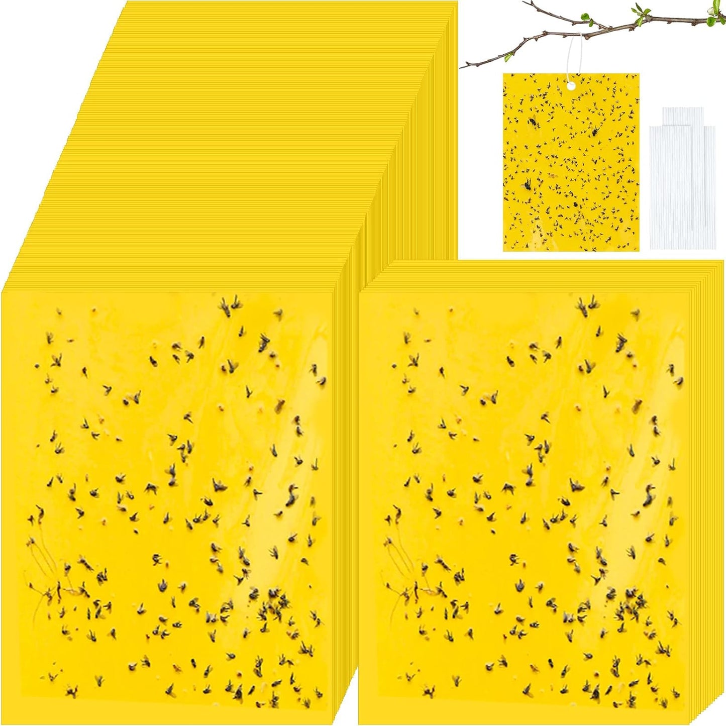 Qualirey 250 Pcs Double Sided Sticky Traps for Indoor Outdoor Use