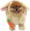 Pandaloon Dog Halloween Costume Patented Walking Teddy Bear - Size 1