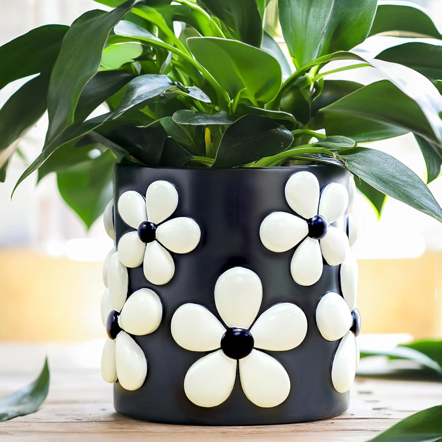 Colorful Flowers Planters for Unique Indoor Plant Decor