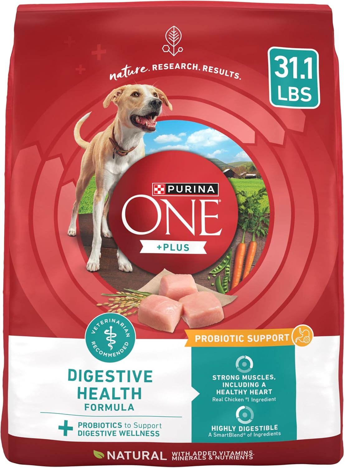 Purina One Plus Digestive Health Formula for Sensitive Stomachs