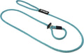 English Slip Dog Lead 1/2 in x 6 ft Teal - Trainer Approved