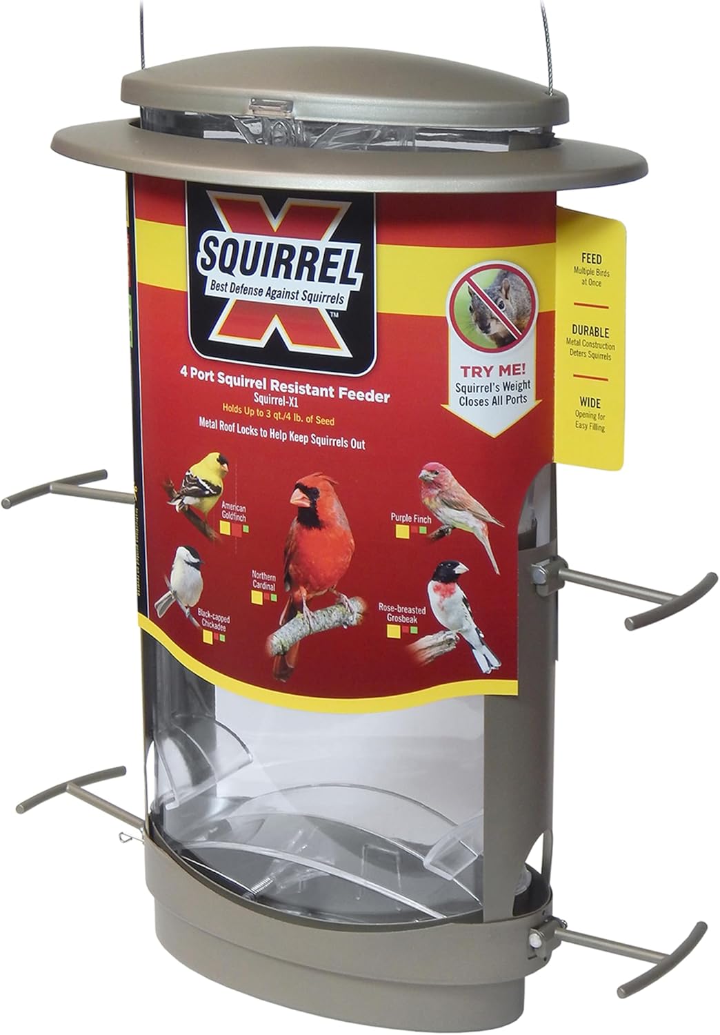 More Birds X-1 Squirrel-Proof Bird Feeder with 4.2 lb Capacity