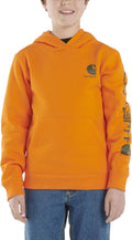 Carhartt Boys' Sweatshirt - Durable Hooded Fleece for Active Kids