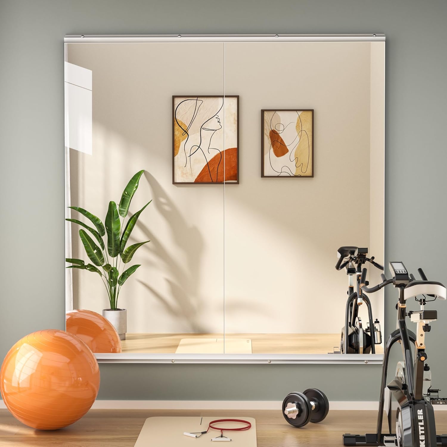 Hasipu Home Gym Mirror - 48in L x 24in W Full Body Reflection