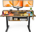 ErGear Standing Desk 55in x 28in Electric Height Adjustable Desk