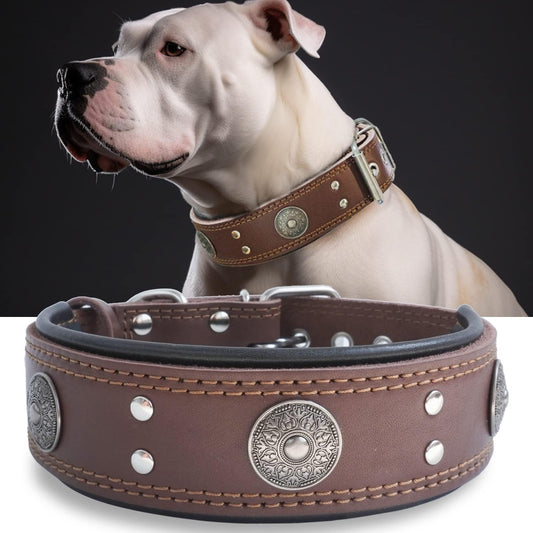 Leather Dog Collar, Heavy Duty Genuine Leather for Large Dogs