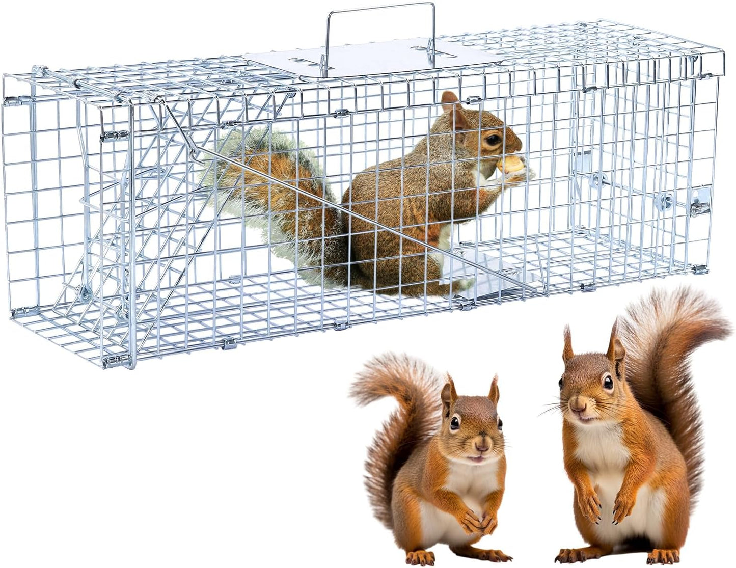 24in Live Animal Trap for Stray Cats, Raccoons, and More