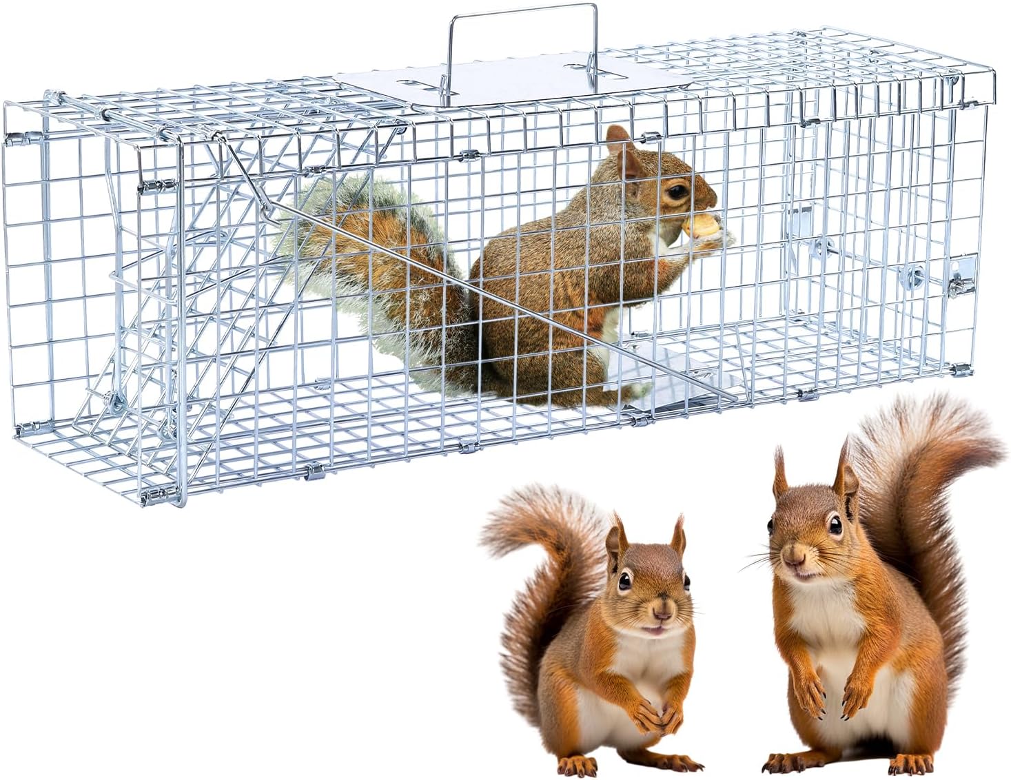 24in Live Animal Trap for Stray Cats, Raccoons, and More