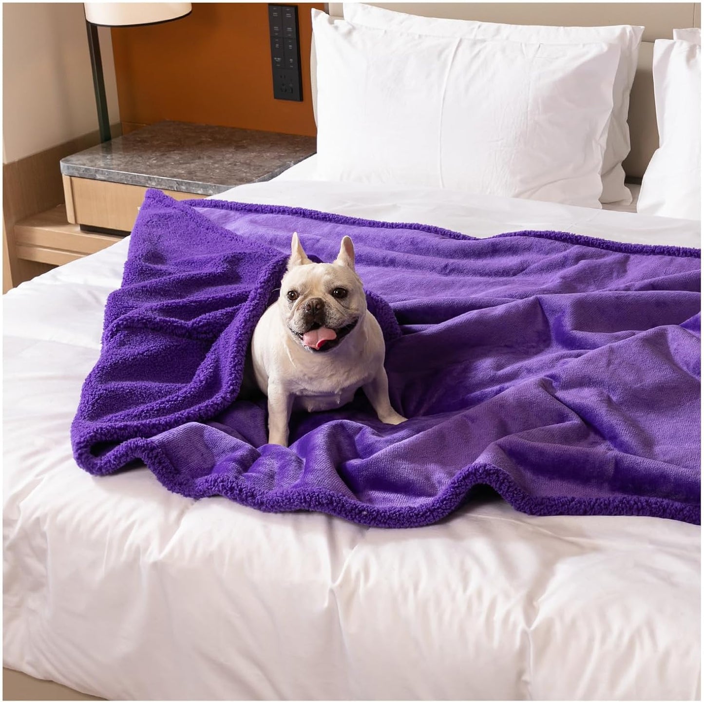Purple Waterproof Pet Blanket for Dogs and Cats - Soft & Cozy