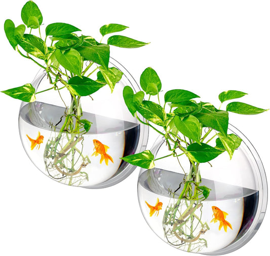 2 Pcs Clear Wall Fish Tanks for Beta Aquariums and Decor