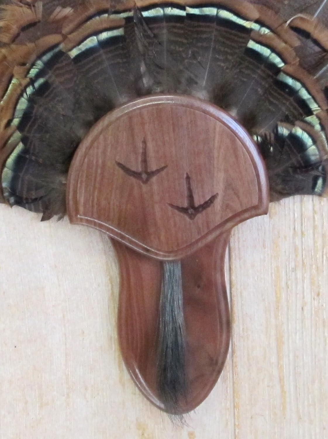 Taxidermists Woodshop Black Walnut Carved Turkey Mounting Kit
